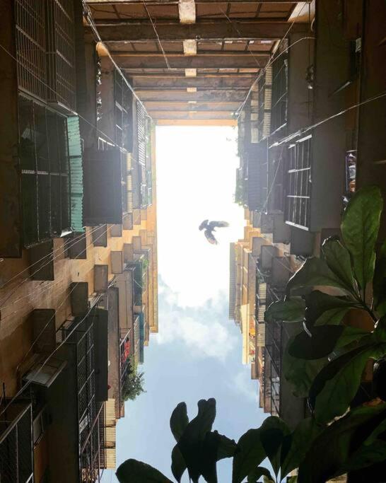 Saigonese Lifestyle - Near Ben Thanh Market Hô Chi Minh-Ville Extérieur photo